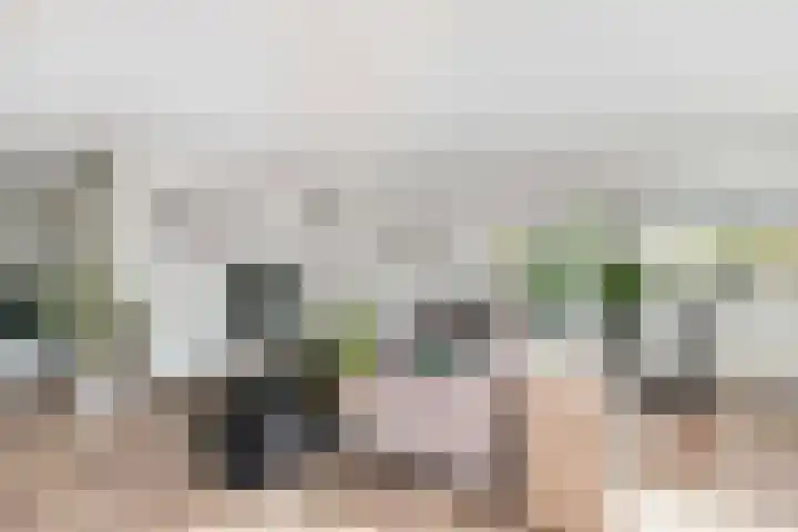 Het Leiwerk 31 Vleuten thumbnail 9