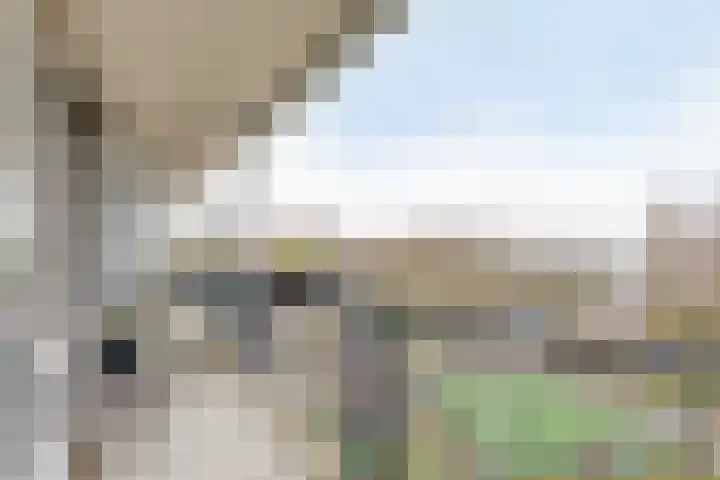 Het Leiwerk 34 Vleuten thumbnail 18