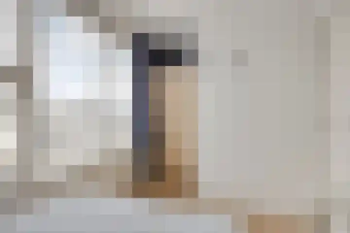 Het Leiwerk 34 Vleuten thumbnail 25