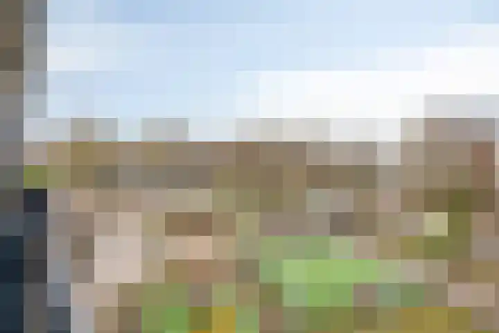 Het Leiwerk 34 Vleuten thumbnail 31