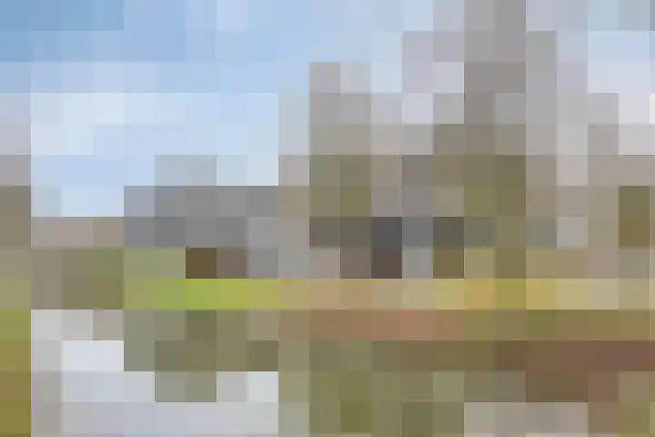 Het Leiwerk 34 Vleuten thumbnail 38