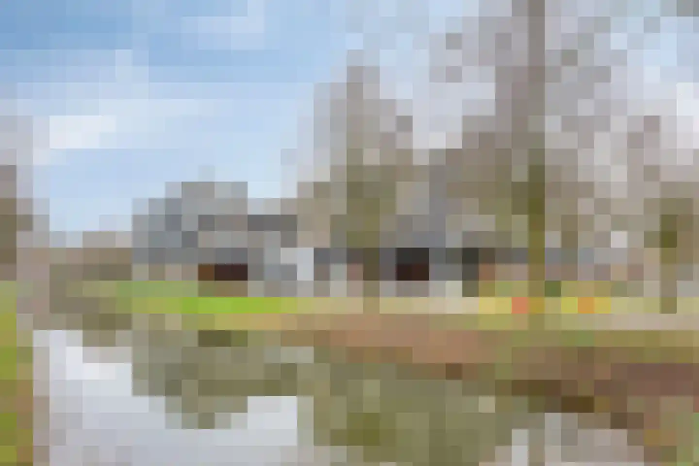 Het Leiwerk 34 Vleuten thumbnail 38