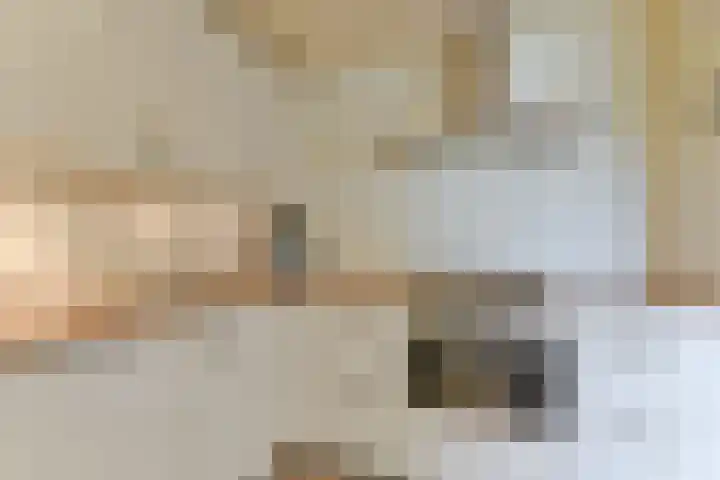 Het Leiwerk 39 Vleuten thumbnail 10
