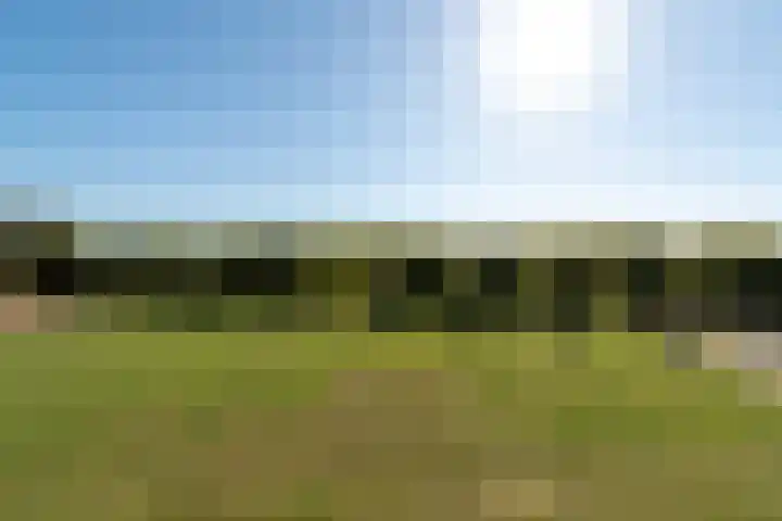 Het Leiwerk 39 Vleuten thumbnail 19