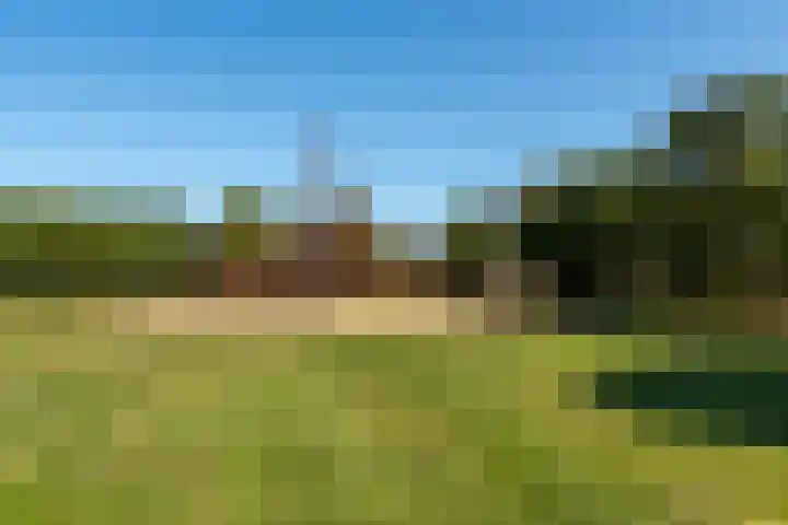 Het Leiwerk 39 Vleuten thumbnail 20