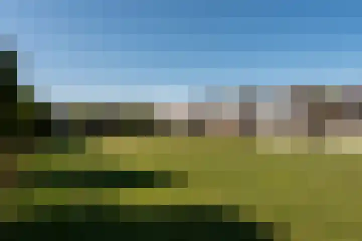 Het Leiwerk 39 Vleuten thumbnail 21