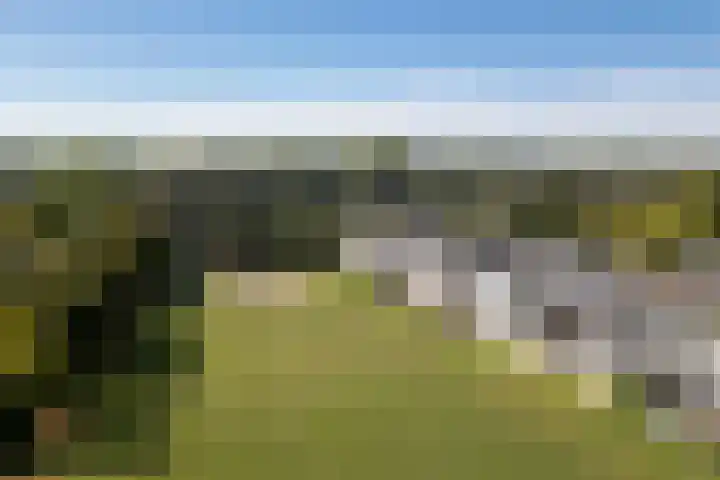 Het Leiwerk 39 Vleuten thumbnail 22