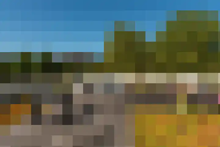 Het Leiwerk 39 Vleuten thumbnail 24