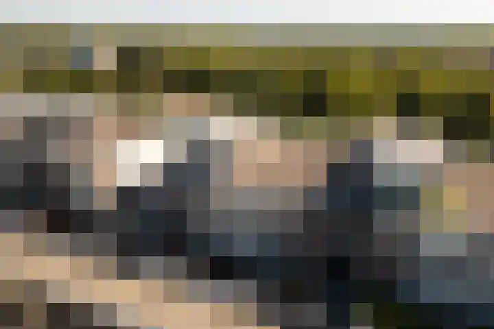 Het Leiwerk 39 Vleuten thumbnail 27