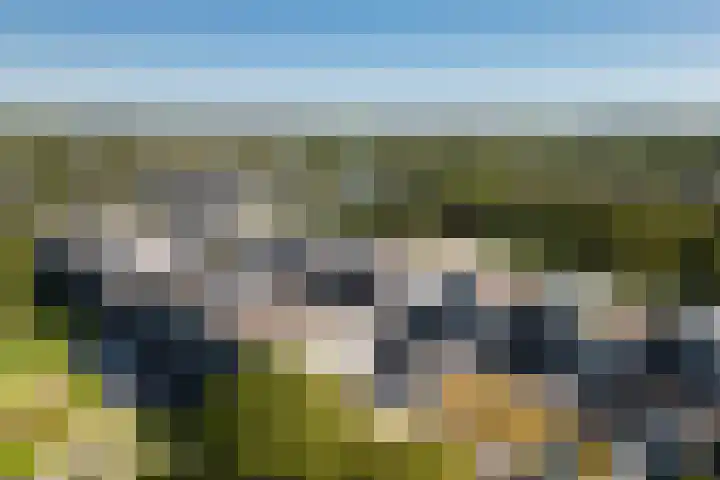 Het Leiwerk 39 Vleuten thumbnail 28