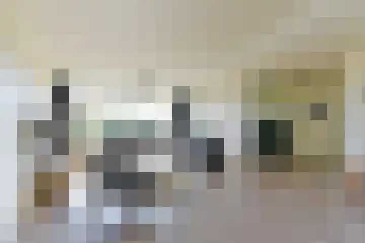 Het Leiwerk 39 Vleuten thumbnail 6