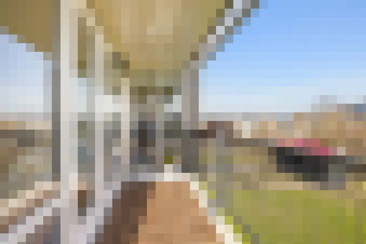 Het Leiwerk 53 Vleuten thumbnail 19