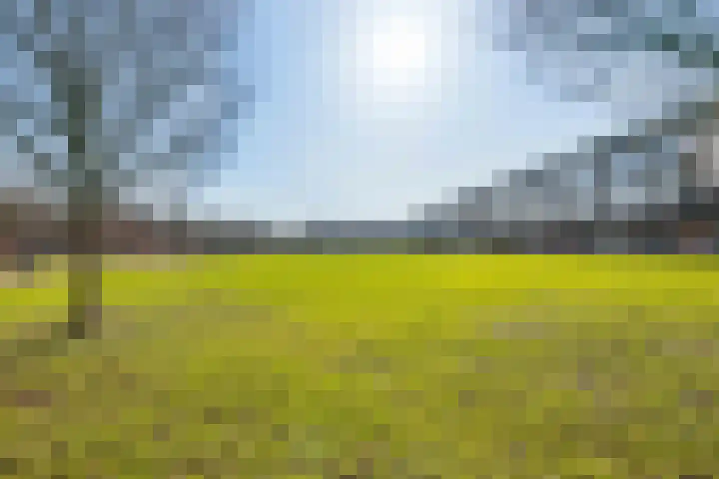 Het Leiwerk 53 Vleuten thumbnail 22