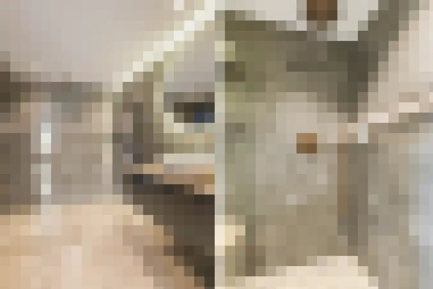 Het Leiwerk 53 Vleuten thumbnail 28