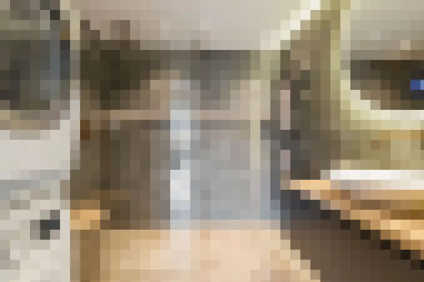 Het Leiwerk 53 Vleuten thumbnail 29