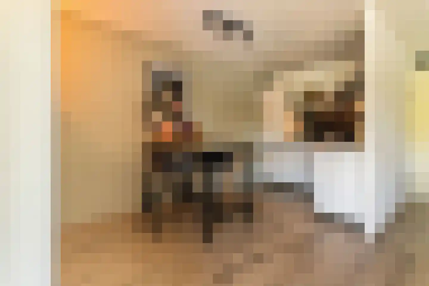 Het Leiwerk 8 Vleuten thumbnail 11