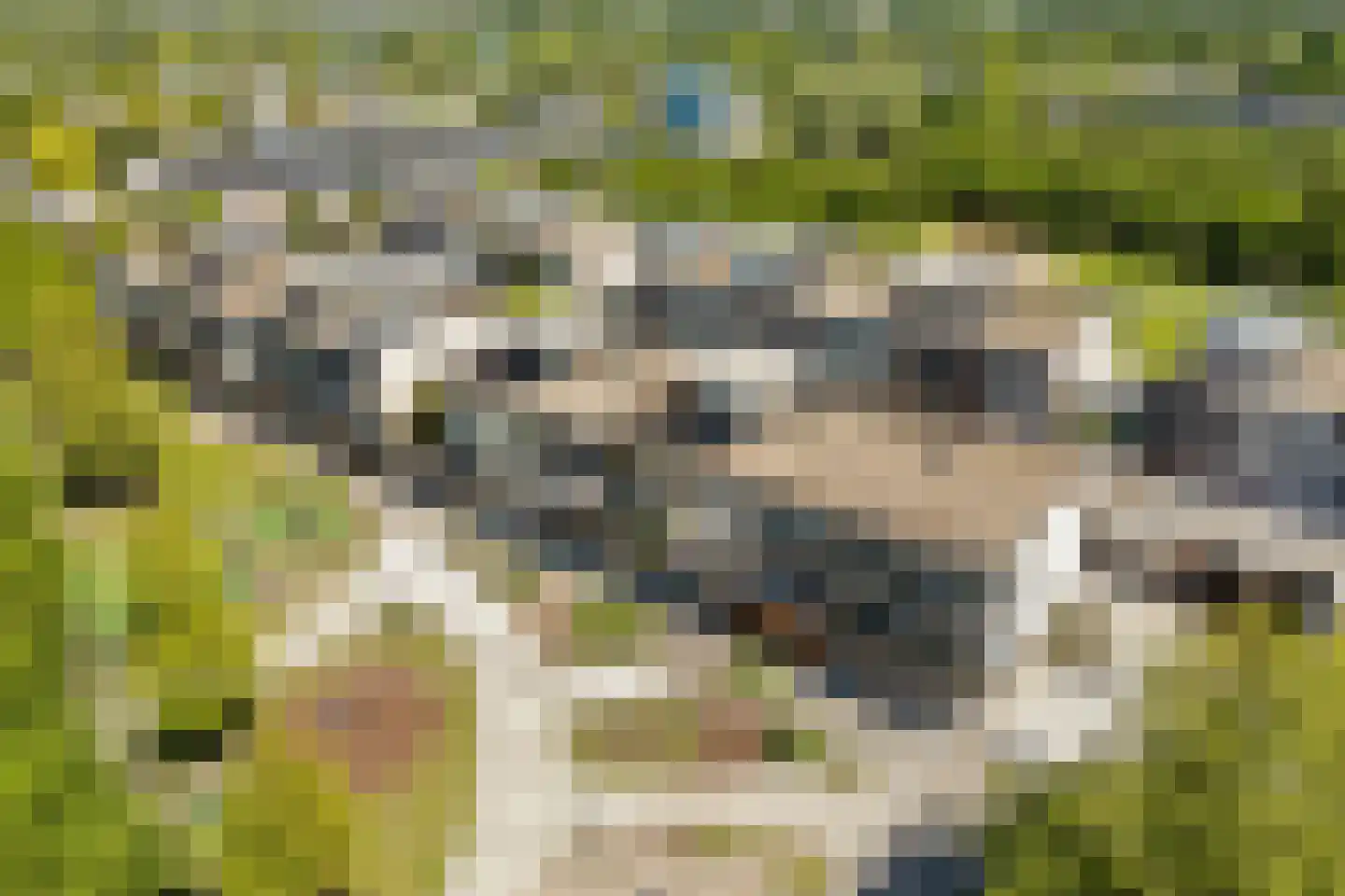 Het Leiwerk 8 Vleuten thumbnail 35