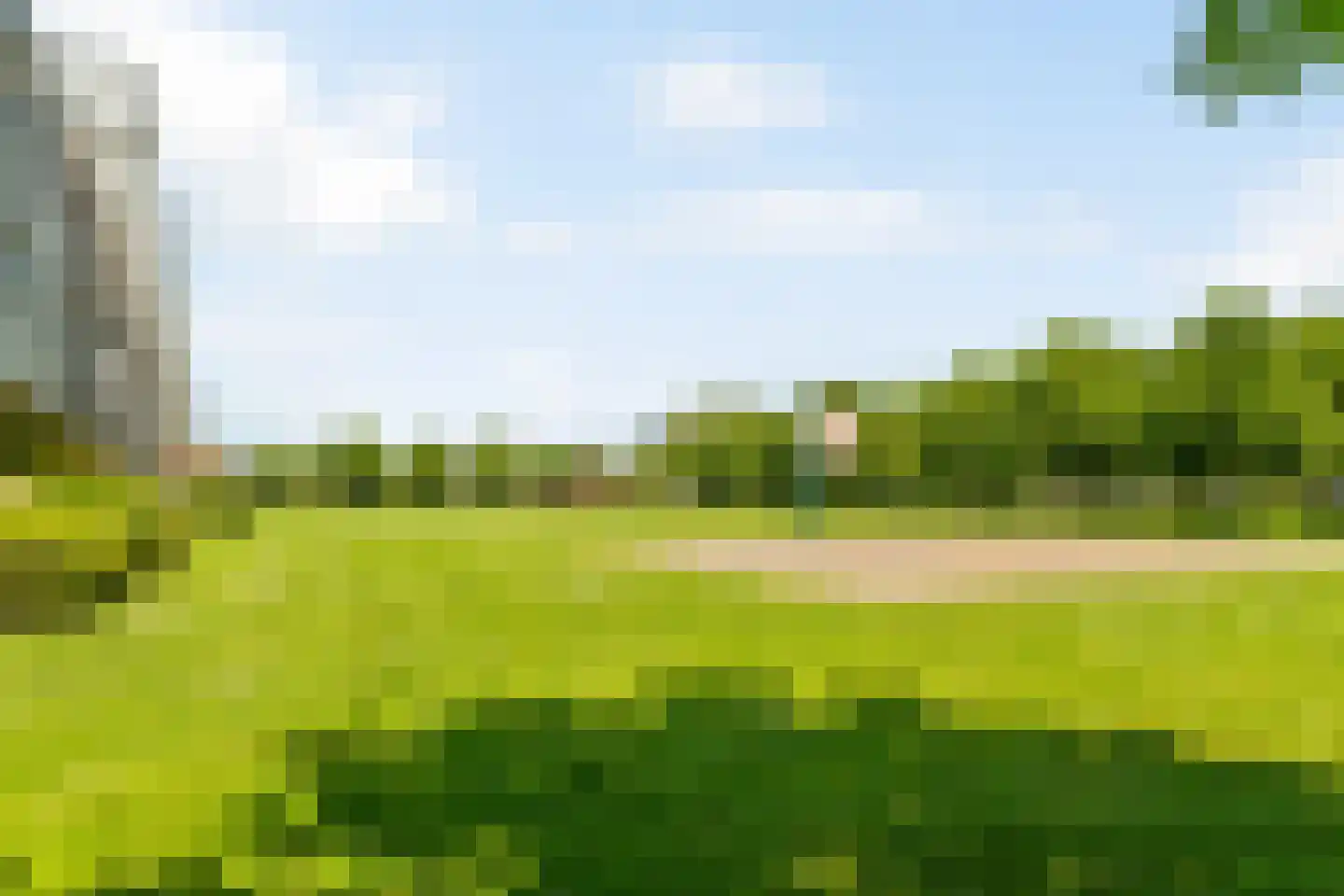 Het Leiwerk 8 Vleuten thumbnail 39