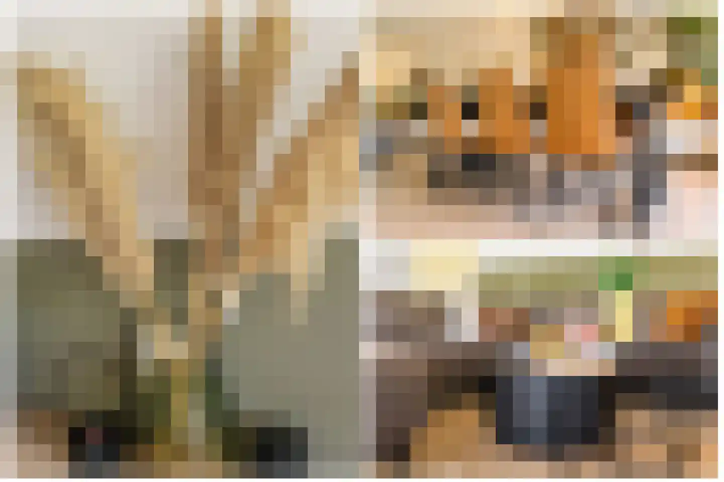 Het Leiwerk 8 Vleuten thumbnail 6