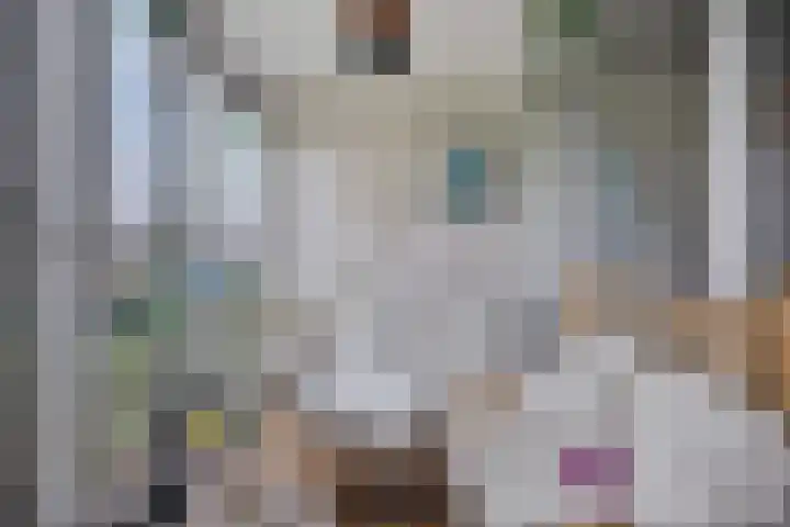 Het Leiwerk 9 Vleuten thumbnail 10