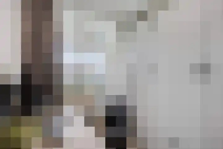 Het Leiwerk 9 Vleuten thumbnail 14