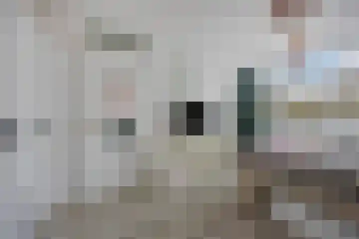 Het Leiwerk 9 Vleuten thumbnail 16