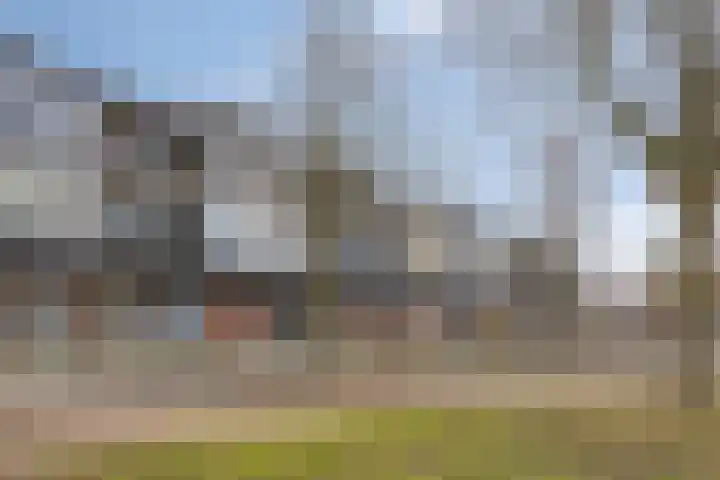 Het Leiwerk 9 Vleuten thumbnail 20