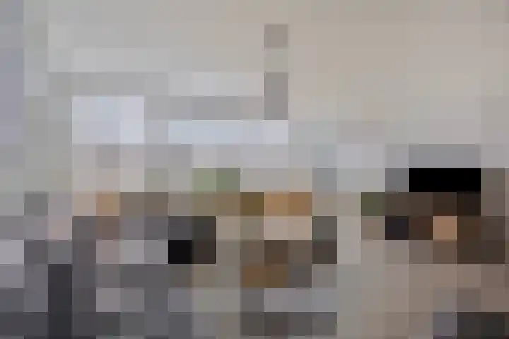 Het Leiwerk 9 Vleuten thumbnail 5