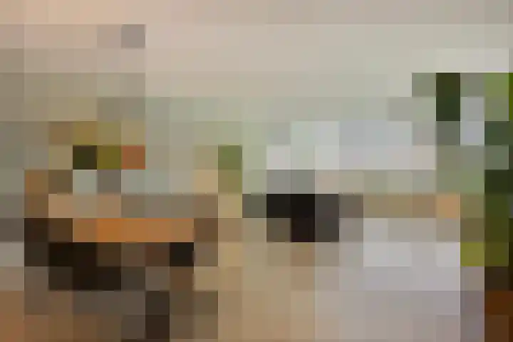 Het Leiwerk 9 Vleuten thumbnail 6