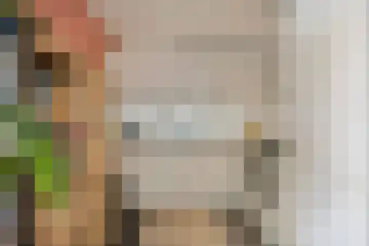 Het Leiwerk 9 Vleuten thumbnail 7