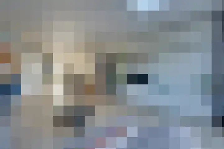 Het Lien 2 Oosthuizen thumbnail 14