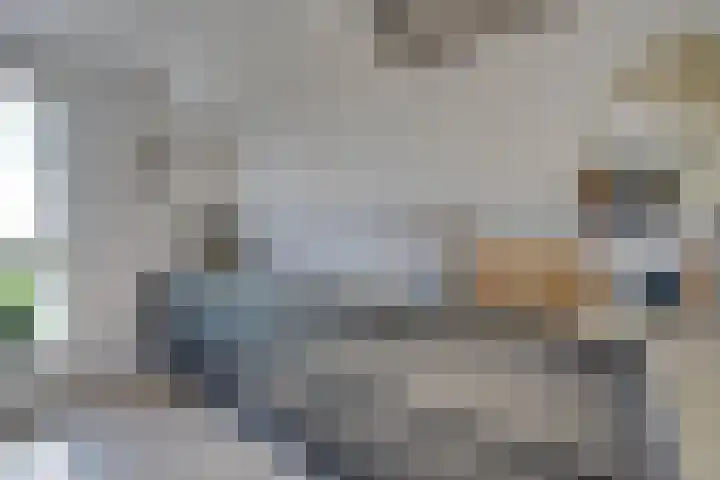 Het Lien 2 Oosthuizen thumbnail 20