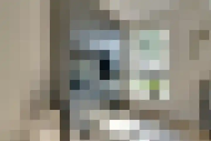 Het Lien 2 Oosthuizen thumbnail 21