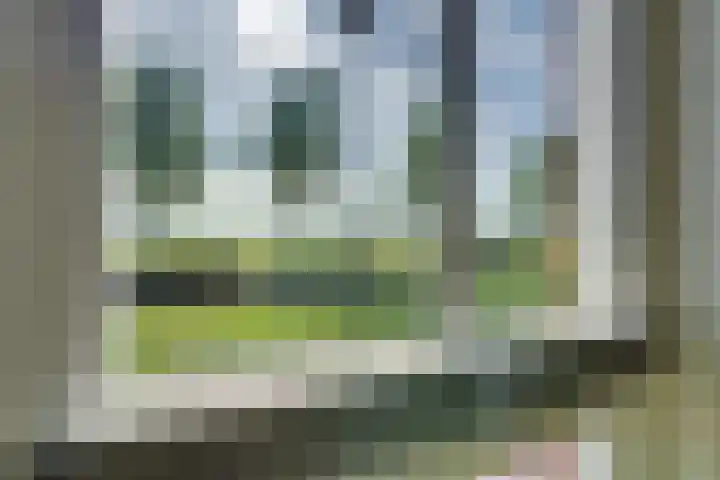 Het Lien 2 Oosthuizen thumbnail 22