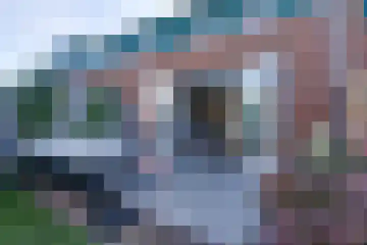Het Lien 2 Oosthuizen thumbnail 27