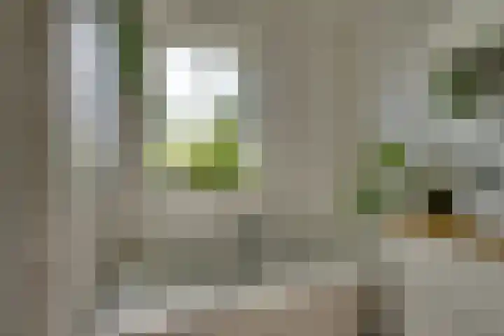 Het Lien 2 Oosthuizen thumbnail 38