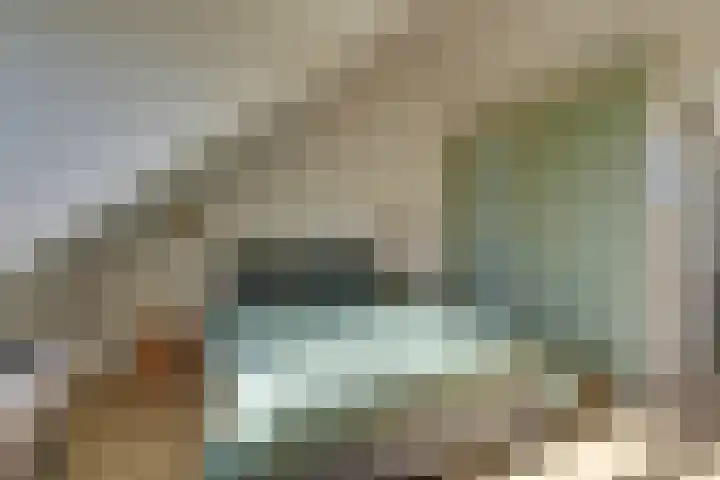 Het Lien 2 Oosthuizen thumbnail 44