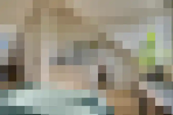 Het Lien 2 Oosthuizen thumbnail 45