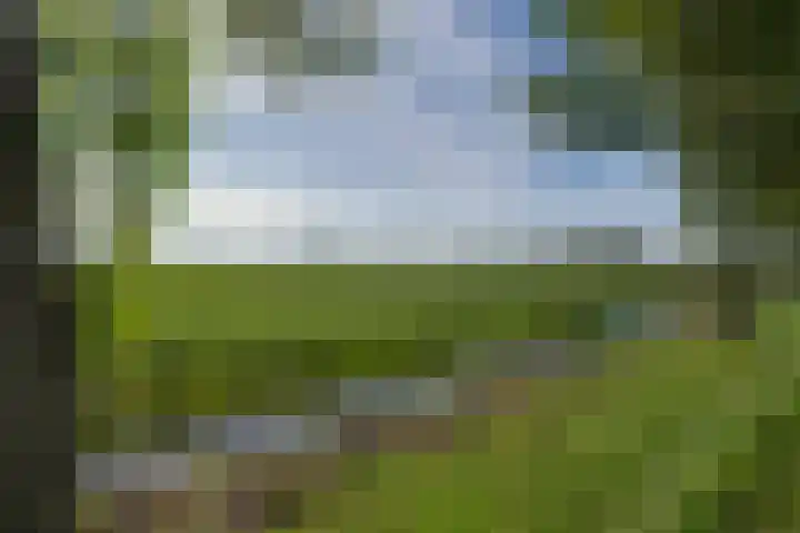 Het Lien 2 Oosthuizen thumbnail 48