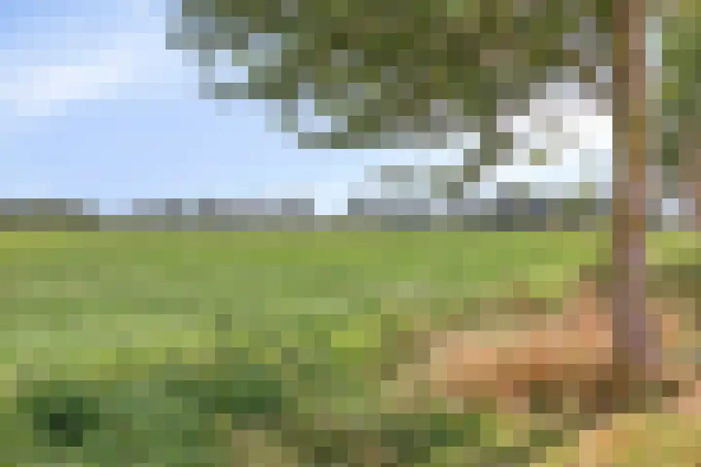 Het Lien 3 Oosthuizen thumbnail 33