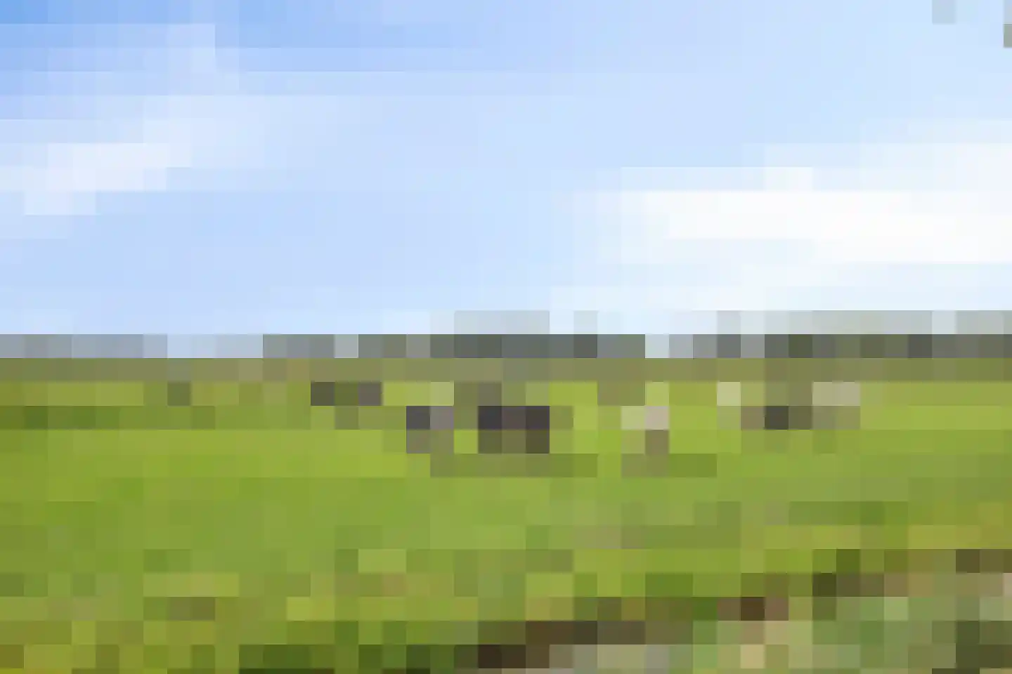 Het Lien 3 Oosthuizen thumbnail 35