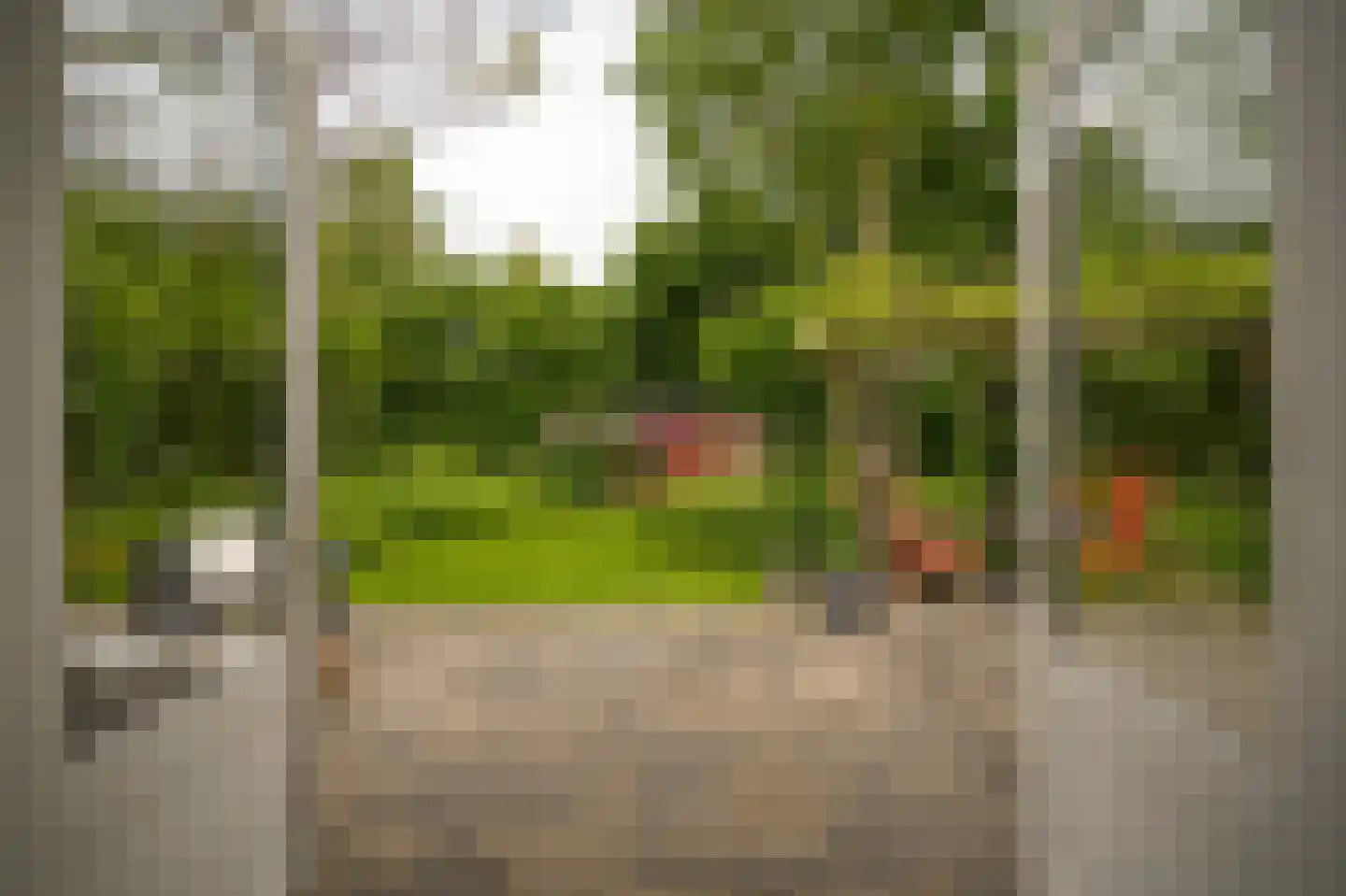 het Lijne Pad 8 Everdingen thumbnail 12
