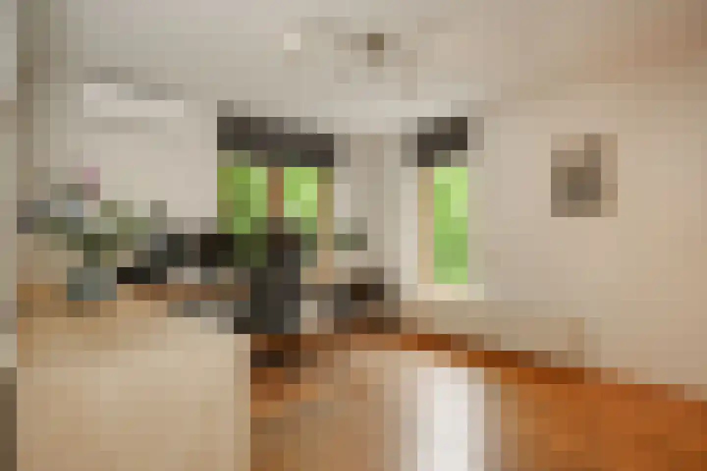 het Lijne Pad 8 Everdingen thumbnail 25