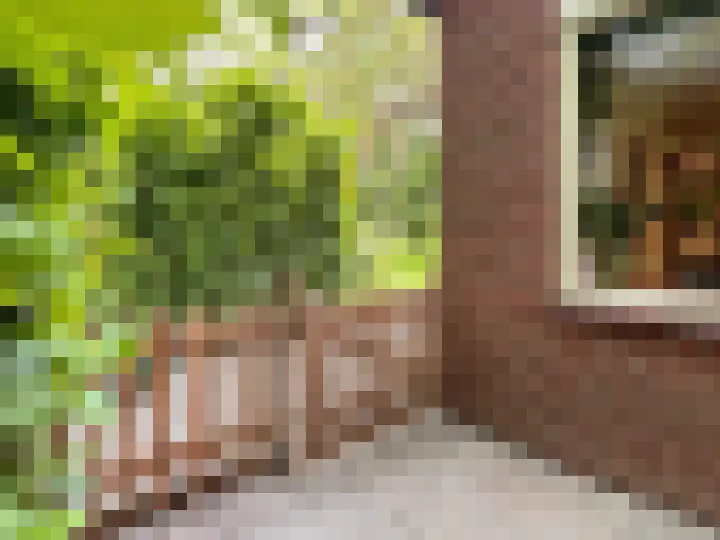 het Lijne Pad 8 Everdingen thumbnail 35