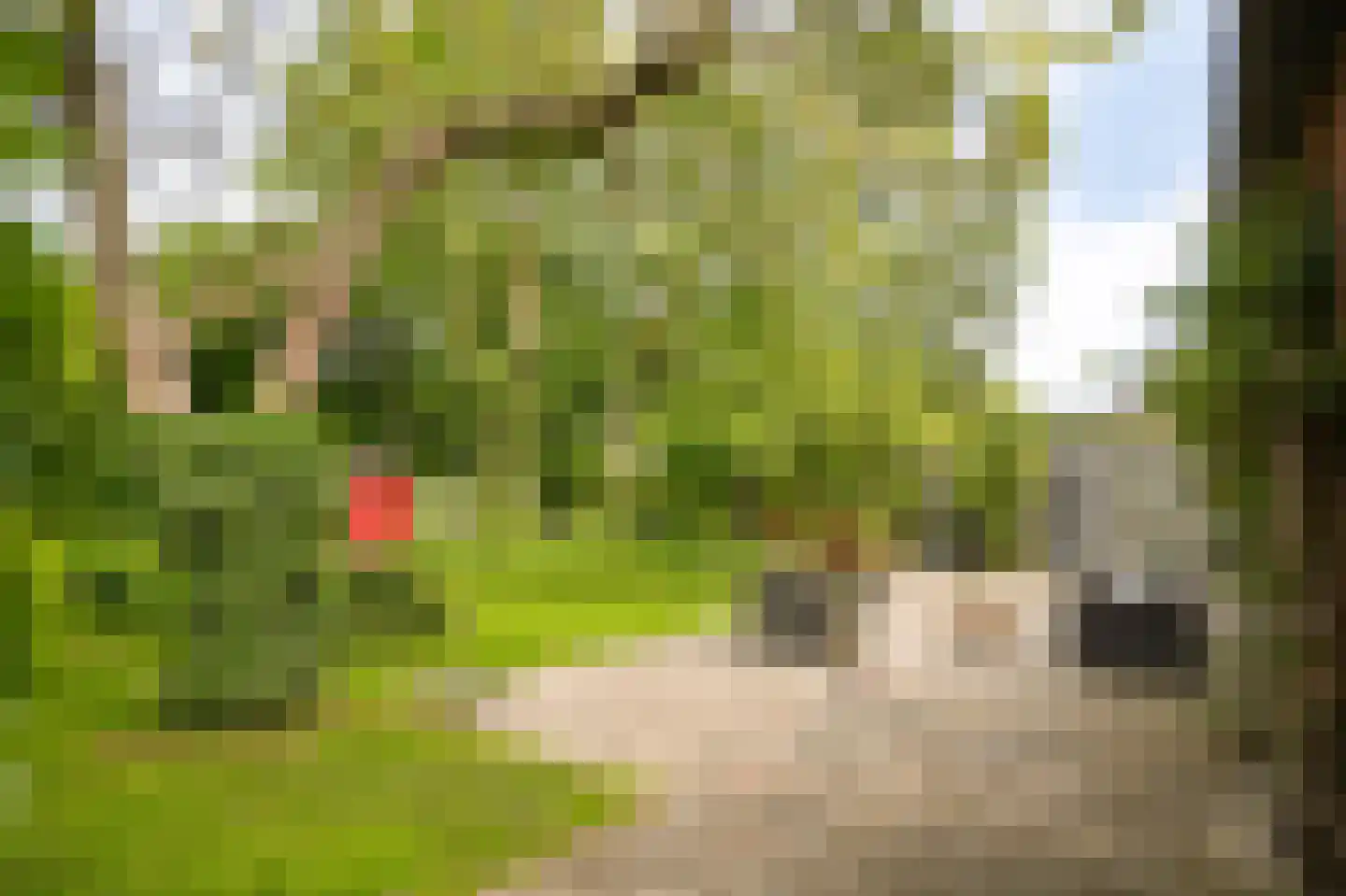 het Lijne Pad 8 Everdingen thumbnail 36