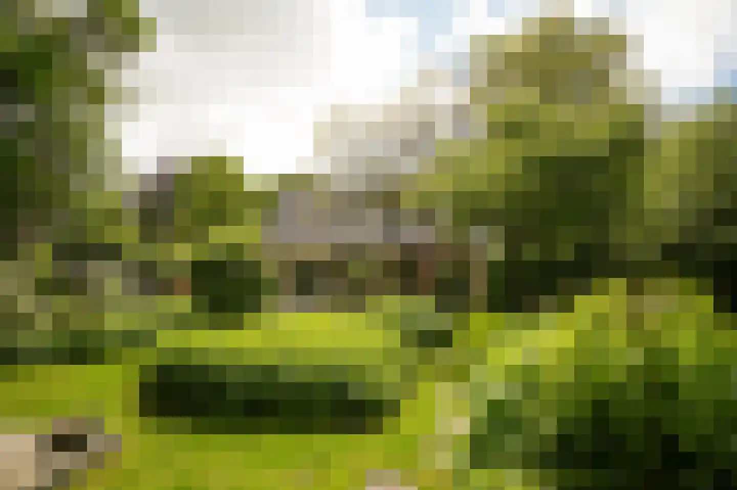 het Lijne Pad 8 Everdingen thumbnail 37