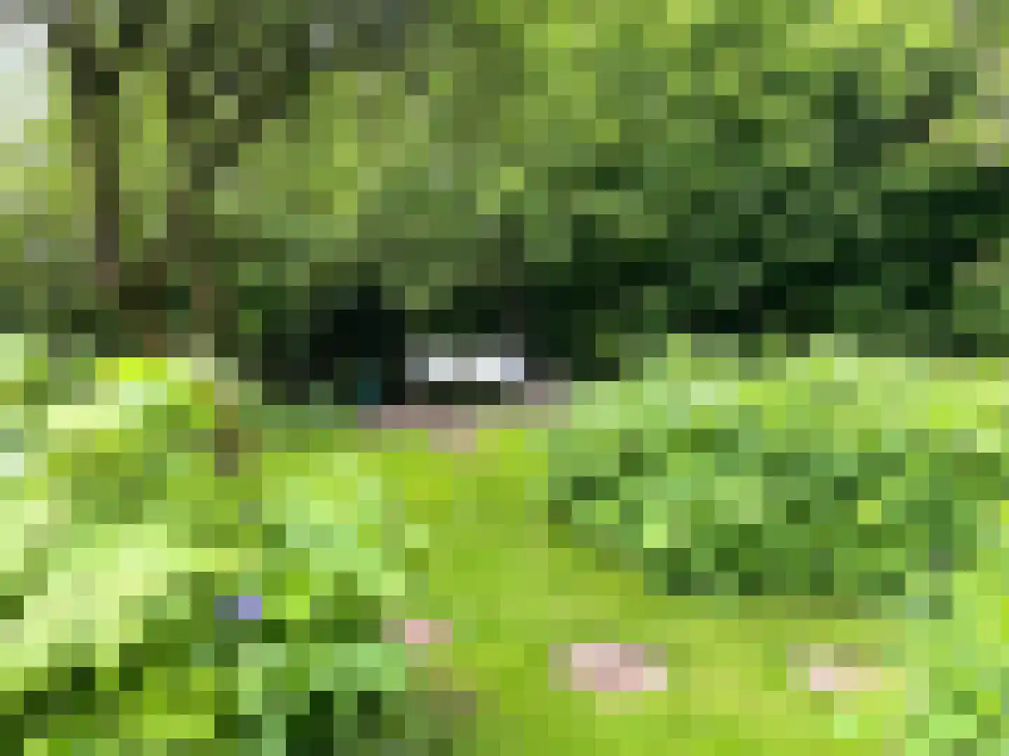 het Lijne Pad 8 Everdingen thumbnail 40