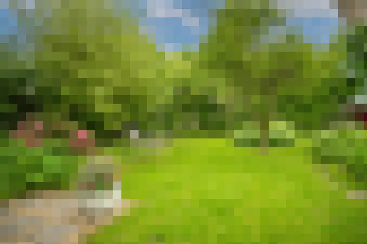 het Lijne Pad 8 Everdingen thumbnail 41