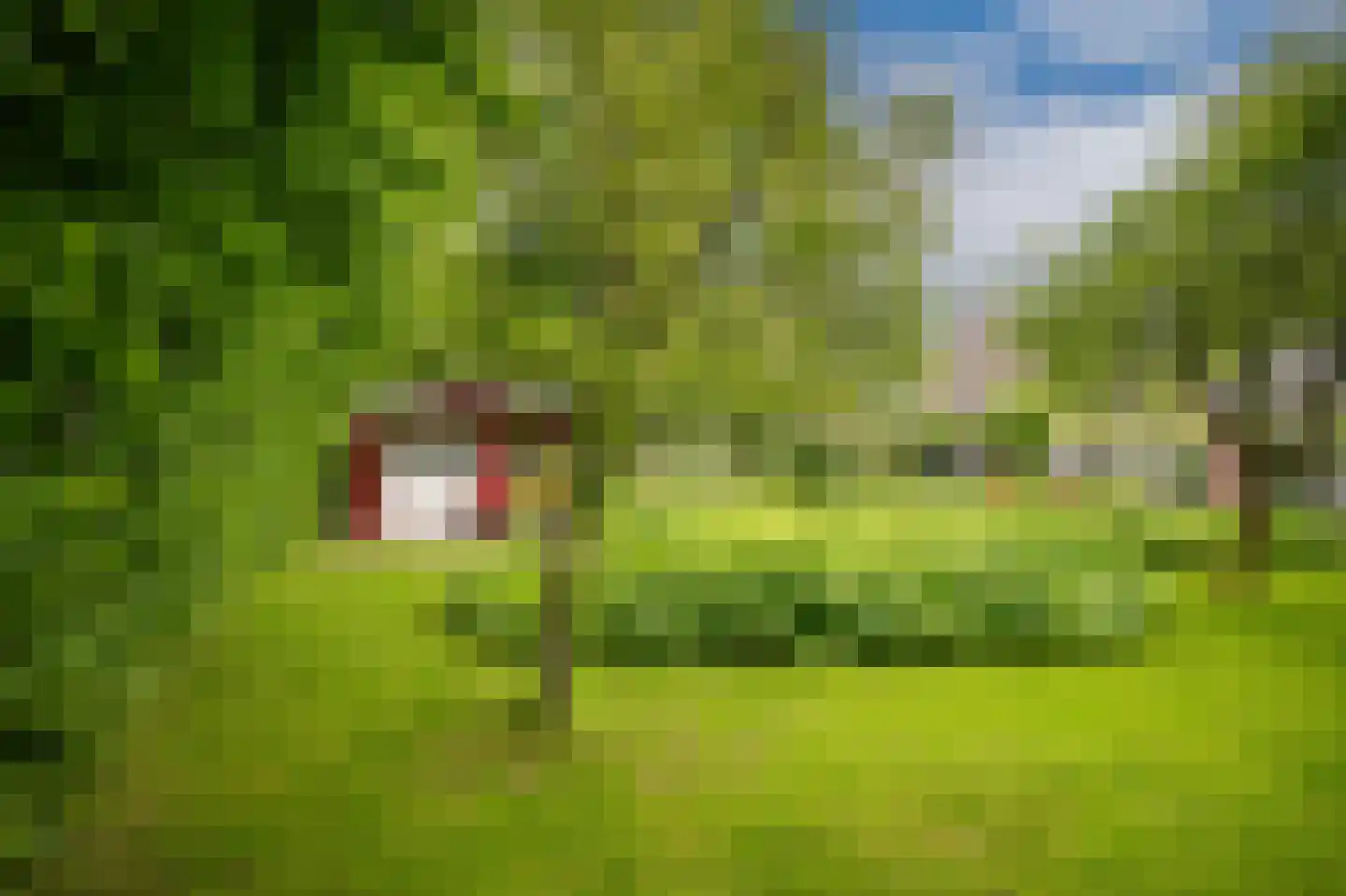 het Lijne Pad 8 Everdingen thumbnail 42