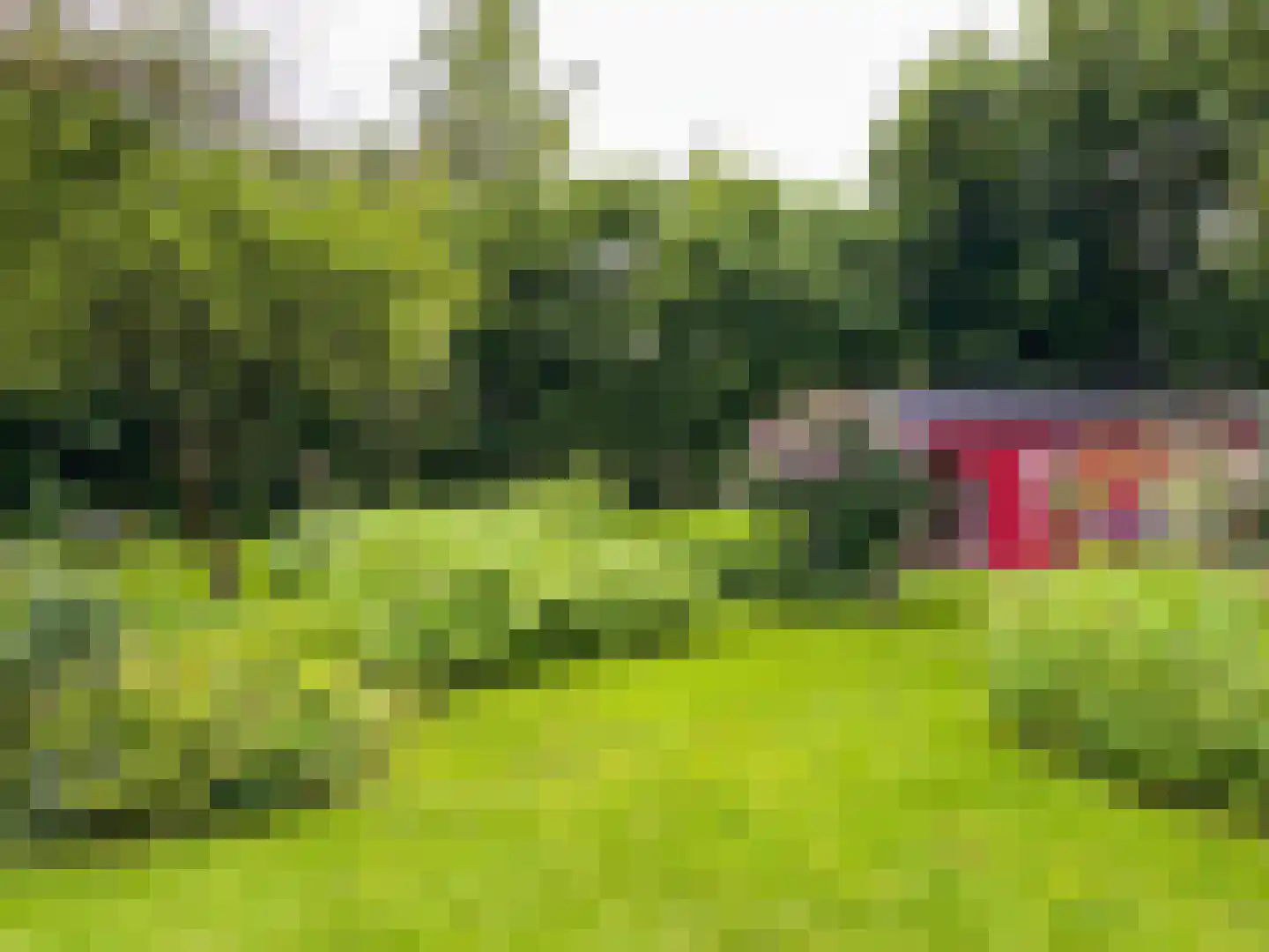 het Lijne Pad 8 Everdingen thumbnail 43